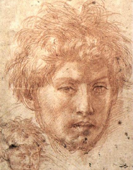 Andrea del Sarto Head of a Young Man France oil painting art